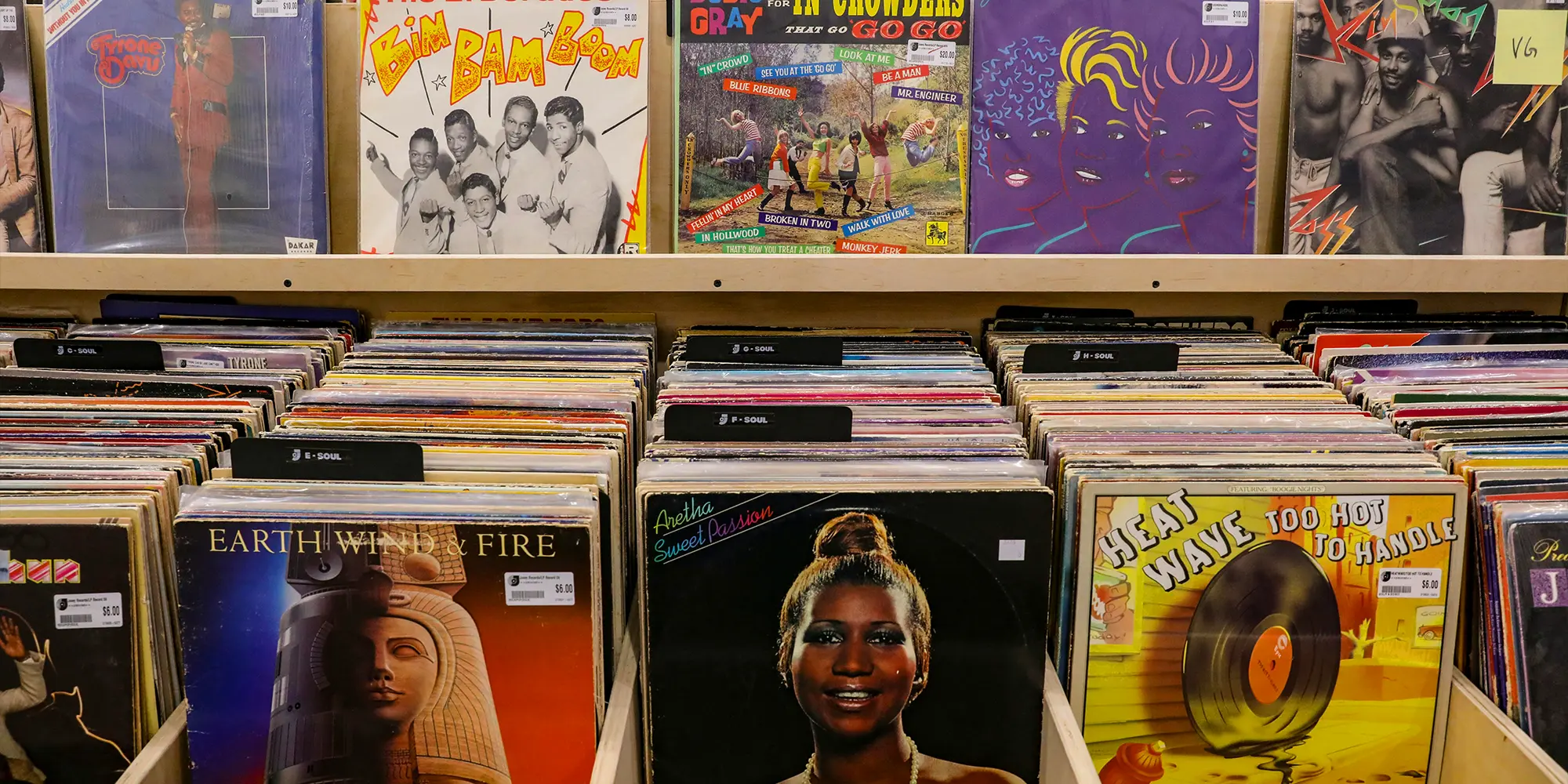 Soul Seeker - May 2025