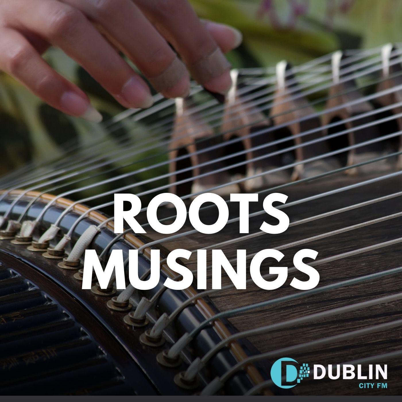 Roots Musings – 9th October